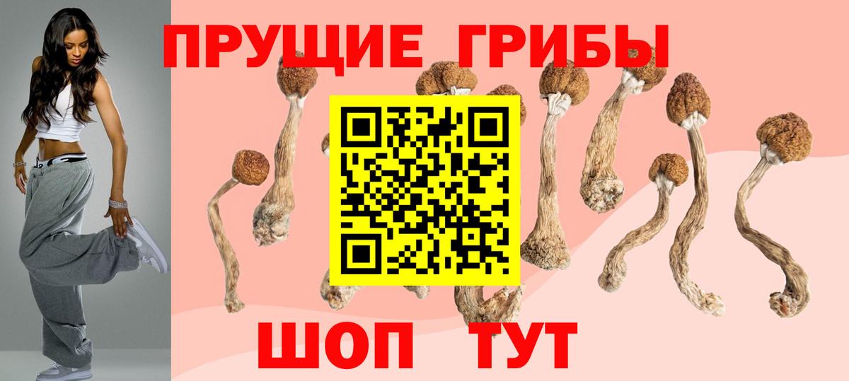Псилоцибиновые грибы Psilocybine cubensis  Вход с VPN  Псилоцибиновые грибы мицелий  Обь 
