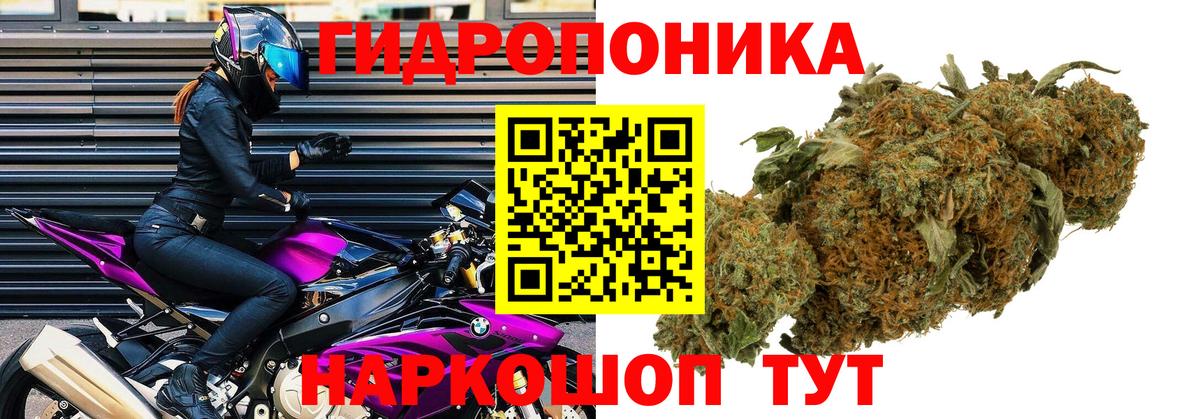 Бошки Шишки VHQ  Вход с VPN  Канабис OG Kush  Обь  Конопля MAZAR 